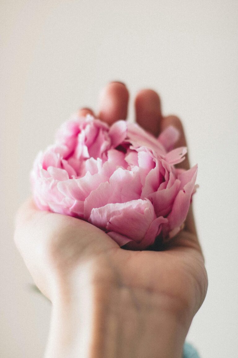 Frauen mit speziellen Anliegen Hand hält eine große rosa Blüte – Sinnlichkeit und Natürlichkeit